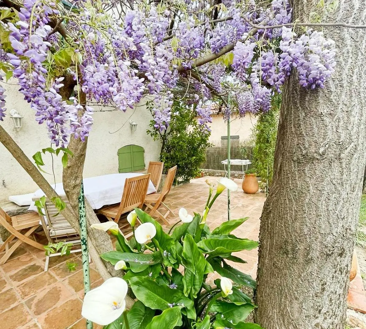 Villa Aragon Spa - Au Pied Du Village - Ideale Familles Cousinades Seillans